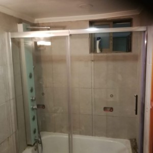 SHOWER DOOR